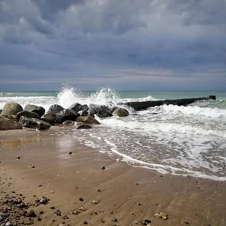 度假居 8 Person In *